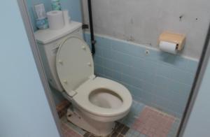 a bathroom with a toilet in a blue tiled room at やどバンブー in Hateruma