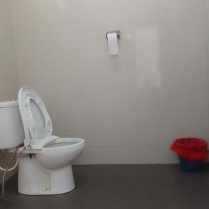 a bathroom with a toilet with the seat up at Shila Bungalow in Kelimutu +46 photos