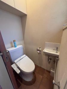 a small bathroom with a toilet and a sink at 20C Ryukyu in Nakijin