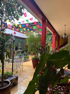 Zahrada ubytování Copa de Oro Hotel Boutique