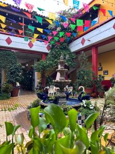 Zahrada ubytování Copa de Oro Hotel Boutique