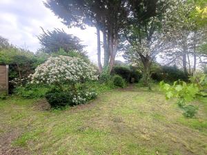 un jardin avec des fleurs blanches dans l'herbe dans l'établissement Maison calme avec jardin près plage, 6 pers, à Le Tour-du-Parc - FR-1-639-117, à Le Tour-du-Parc