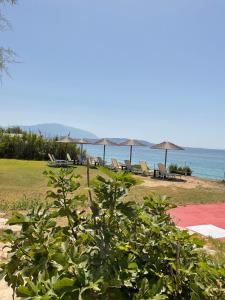 a group of chairs and umbrellas on a beach at Kefalonia Beach Hotel & Bungalows in Lixouri