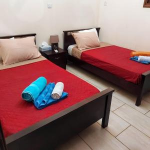 two beds in a room with red and blue beds at Villa Elizabeth in Limassol