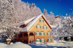 Hotel Gasthaus Schäfle om vinteren