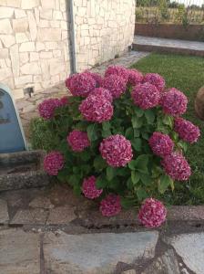 Zahrada ubytování Εξοχικό σπίτι στο βουνό