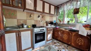 a kitchen with a stove and a sink at Casa Matetovici in Greci