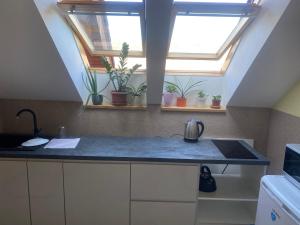 A kitchen or kitchenette at Penzion Rosnicka Liesek
