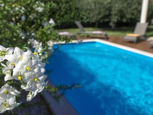 Φωτογραφία από το άλμπουμ του Villa Family Paris στο Ουμάγκ