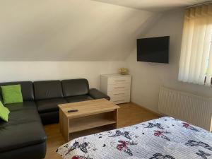 A television and/or entertainment centre at Penzion Rosnicka Liesek