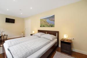 een slaapkamer met een bed en een tv aan de muur bij Alte Stadtvilla Weinberg 6 in Traben-Trarbach