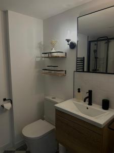 a bathroom with a toilet and a sink and a mirror at The Studio, Arundel in Arundel