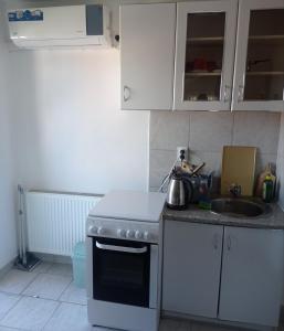 a kitchen with a stove and a sink at PAR in Donje Mladice