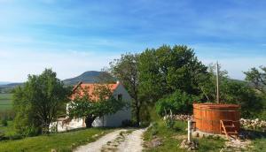 Príroda v okolí dovolenkového domu