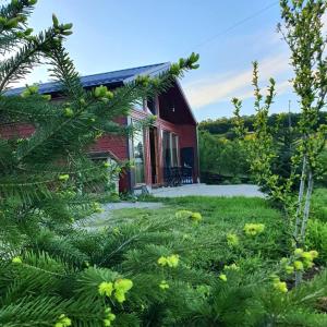 a red house with a garden and a christmas tree at Villa Grashtica - Prishtina City in Pristina