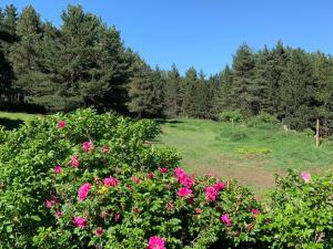Vonkajšia záhrada v ubytovaní Gîte Ranch Le Serpolet