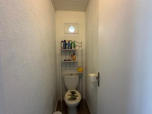 a bathroom with a toilet in a small room at Logement agréable sur Le Teich in Le Teich