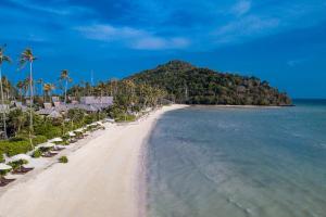a beach with chairs and palm trees and the ocean at SAii Phi Phi Island Village in Phi Phi Islands