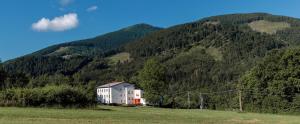 a house in a field in front of a mountain at Retro Hotel JISKRA in Čeladná