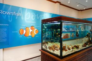 a exhibit in a museum with a fish tank at SAii Phi Phi Island Village in Phi Phi Islands