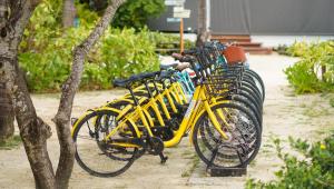 a row of yellow bikes parked next to each other at SAii Phi Phi Island Village in Phi Phi Islands