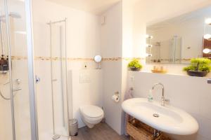 ein Badezimmer mit Waschbecken, Toilette und Dusche in der Unterkunft FeWo Harzer Leidenschaft bis 2 Hunde Willkommen TOP Lage DTV 5 Sterne 3 Pfoten in Sankt Andreasberg + 60 Fotos