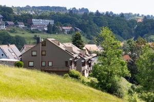 eine Gruppe von Häusern auf einem Grashügel in der Unterkunft FeWo Harzer Leidenschaft bis 2 Hunde Willkommen TOP Lage DTV 5 Sterne 3 Pfoten in Sankt Andreasberg