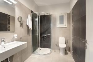 a bathroom with a shower and a toilet and a sink at Aithra -Agios Petros Andros in Gavrio