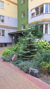 Zahrada ubytování Апартаменти центр міста біля жд вокзалу Перемоги