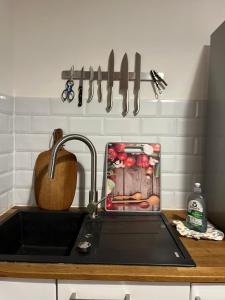 a kitchen counter with a sink and some knives at dreamlike artist apartment in Lauf an der Pegnitz