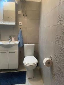 a small bathroom with a toilet and a sink at Idylle in der Natur mit Burgblick in Sutomore +10 photos