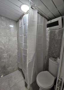 a bathroom with a toilet and a shower curtain at Guest House Koba in Batumi