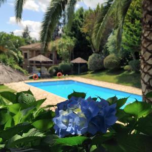 The swimming pool at or close to Apartamentos El Calambuco
