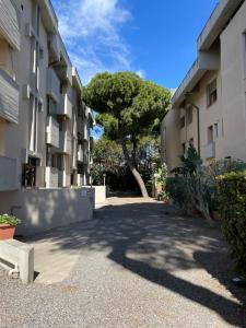 a courtyard of an apartment building with a tree at Appartamento con piscina a 100metri dal mare in Castiglioncello