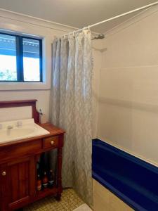 Nectar BrookSpear Creek Beach House的带水槽和浴帘的浴室