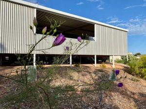 Nectar BrookSpear Creek Beach House的一栋前面开着紫色花朵的建筑