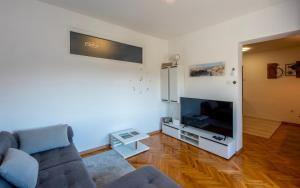 Μια τηλεόραση ή/και κέντρο ψυχαγωγίας στο Luxury Apartment Revita