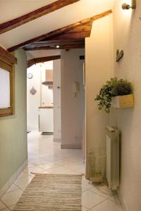 a hallway of a house with a plant on the wall at La mansardina in Trieste