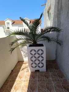 Fotografia z galérie ubytovania Apartman Antea Hvar v destinácii Hvar