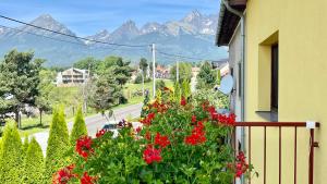 a balcony with red flowers and mountains in the background at Privat u Eriky in Stará Lesná