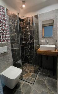 un bagno con doccia, WC e lavandino di Gościniec Karpacka Dusza a Szczawnica