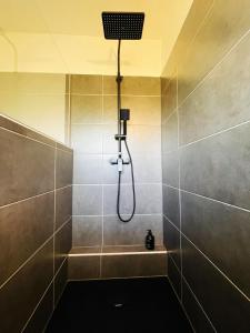 a shower with a shower head in a bathroom at LIGHTQUARTIER Mountain Nest -Balkon in Sankt Andreasberg