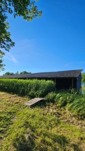 a building sitting in the grass next to a field at Fish and sleep - lake house in Alūksne