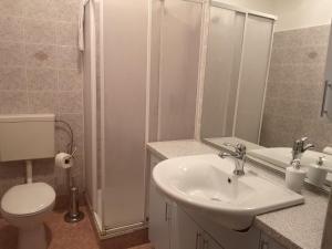 a bathroom with a sink and a toilet and a shower at Apartma Vitez in Izola