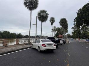 a row of cars parked on a street with palm trees at Janatyy Guest House Suratthani in Suratthani
