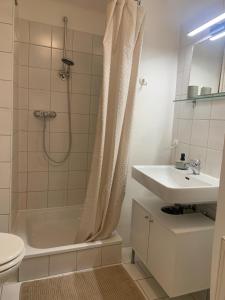 a bathroom with a sink and a shower and a toilet at City Center Golden Roof 4 in Innsbruck