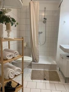 a bathroom with a shower and a toilet and a sink at City Center Golden Roof 4 in Innsbruck