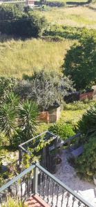A garden outside Hostal Casa Martinez