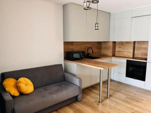 Una sala de estar con un sofá y una cocina. en Drahan Apartment 35, en Radom 8 fotos más