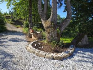 Zahrada ubytování Agriturismo Zè del Pino
